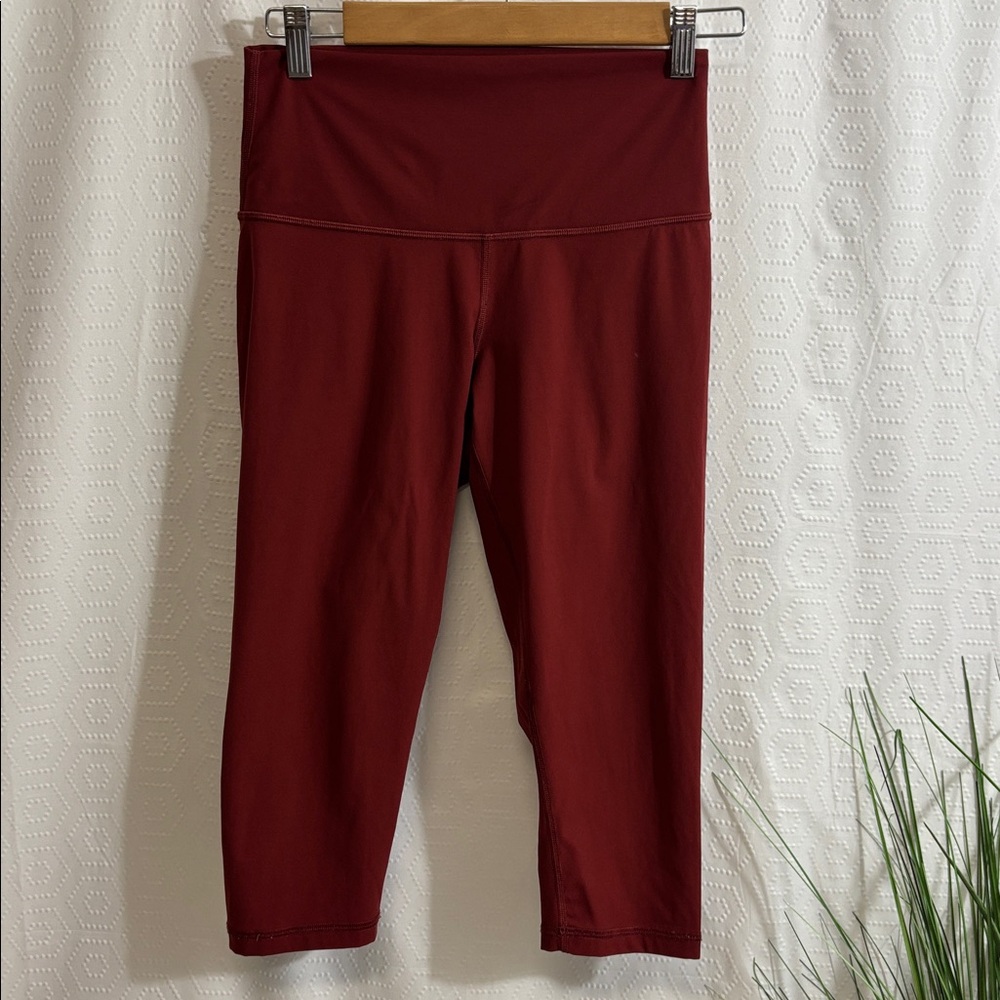 Everlane The Perform Cropped Capri Legging Size S